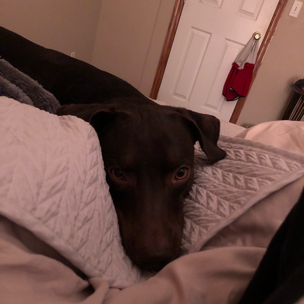 Meet your Posher, Kat